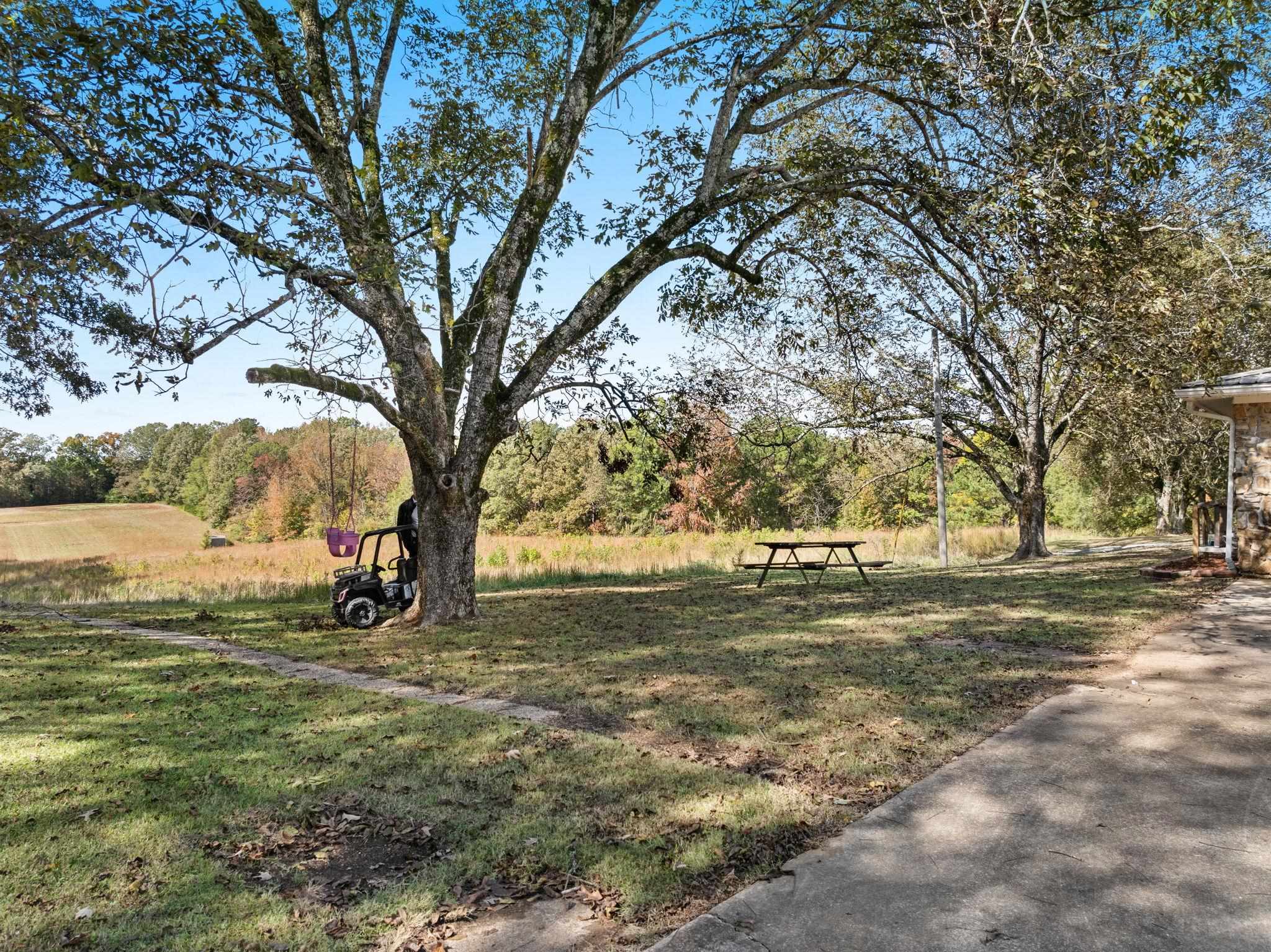 41 County Road 409 Rienzi, MS 38865 - Photo 31 of 40 View of property's community with a yard