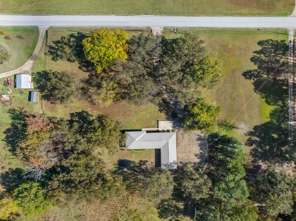 a view of a yard with plants