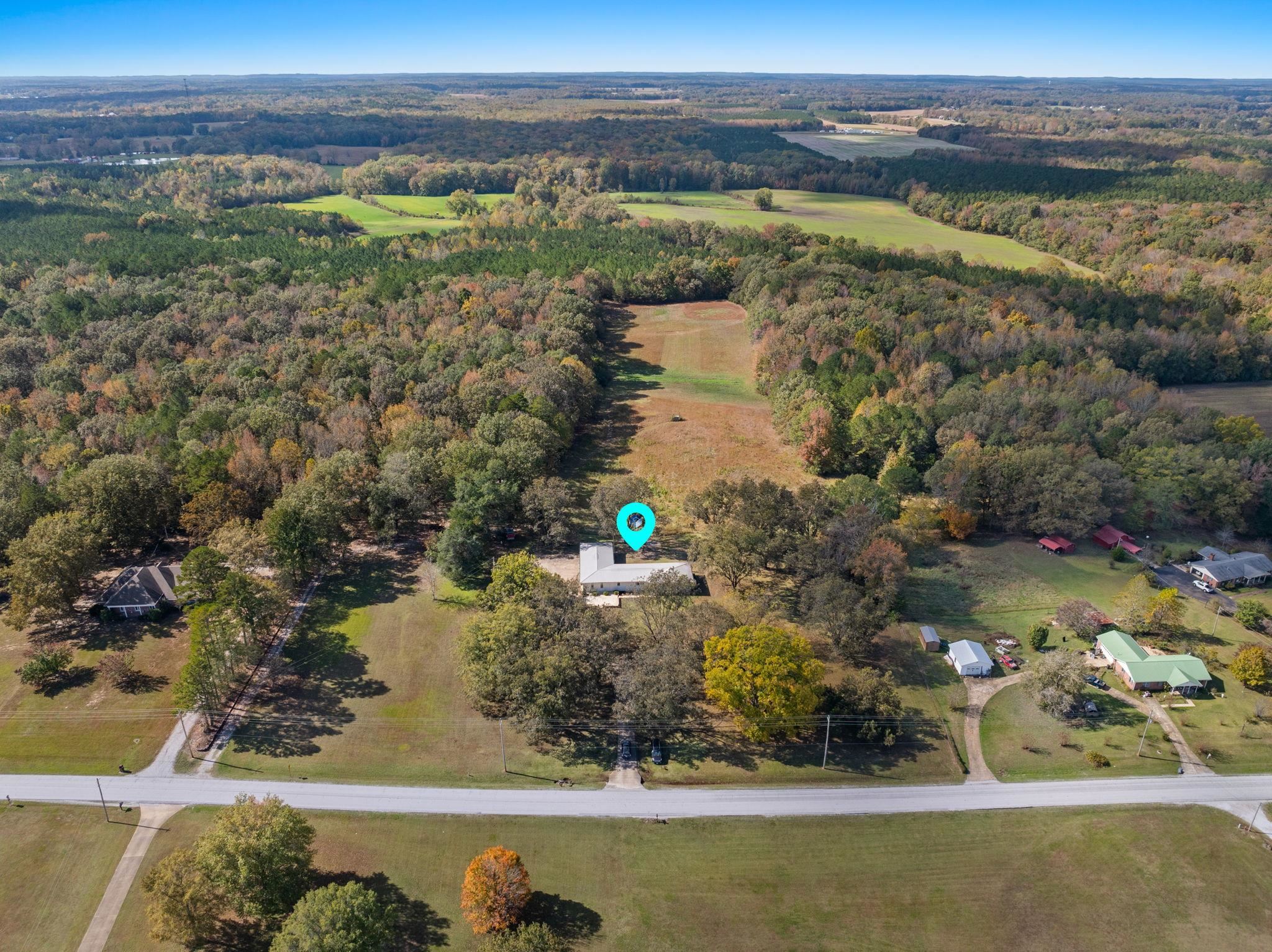 41 County Road 409 Rienzi, MS 38865 - Photo 36 of 40 View of property location featuring a forest