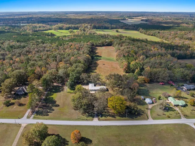 a view of a forest with a lake