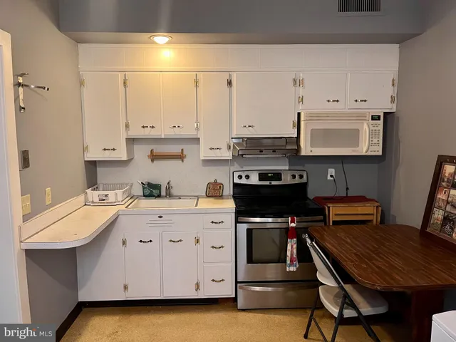 a kitchen with a sink a stove and refrigerator