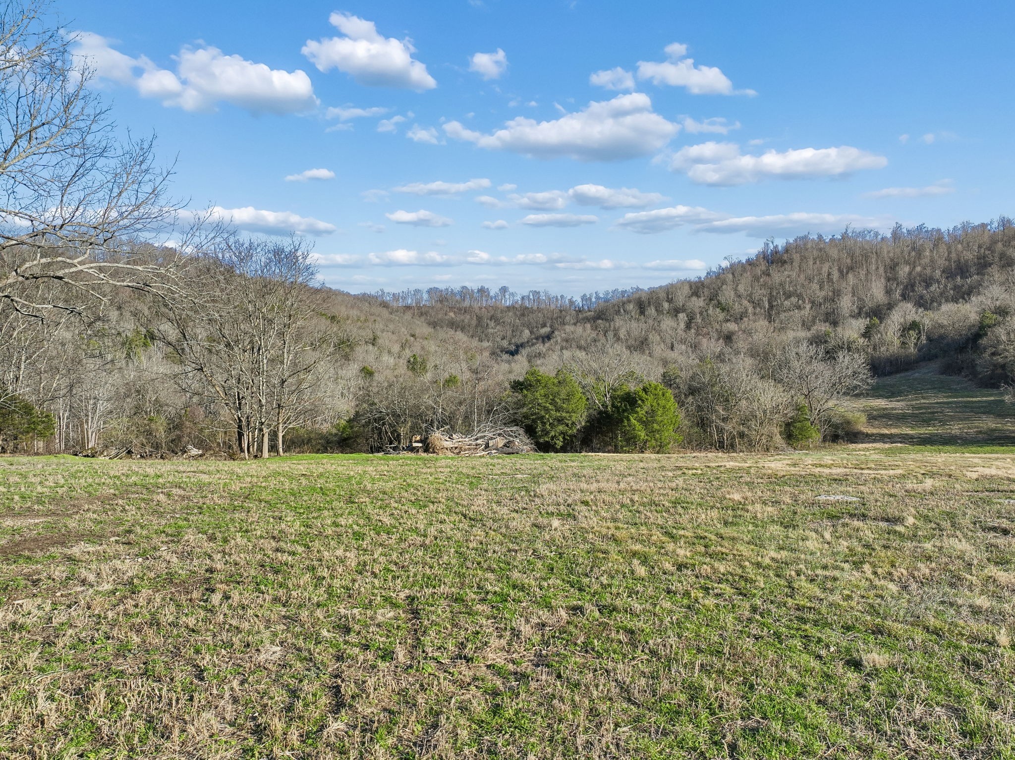 215 Hickman Creek Road South Hickman, TN 38567 - Photo 20 of 98 a view of big yard with an ocean and mountain view