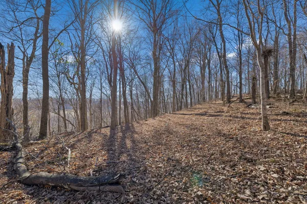 a view of a garage with parked cars