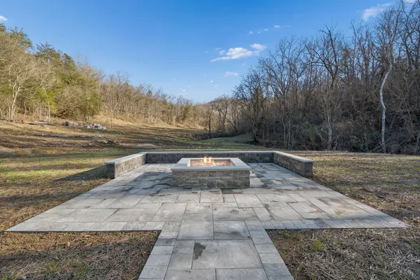 a view of a backyard with large trees