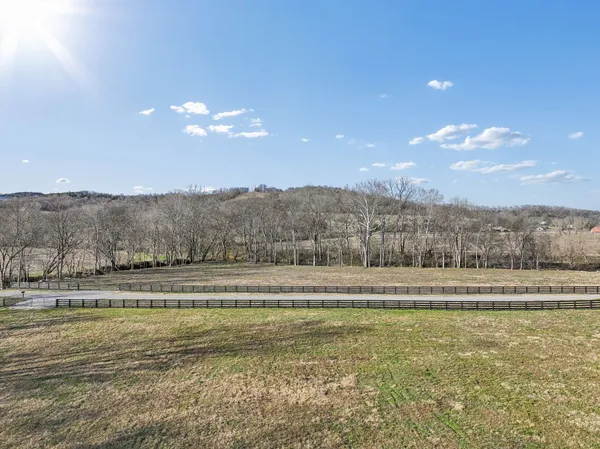 a view of a field with a trees in the background