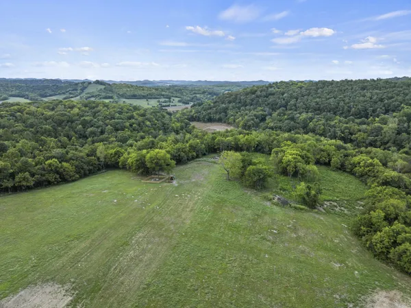 a view of a green field with mountains in the background