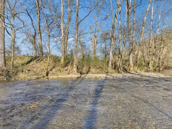 a view of a yard next to a building