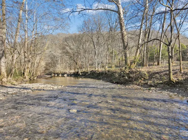 a view of a yard with plants and wooden fence