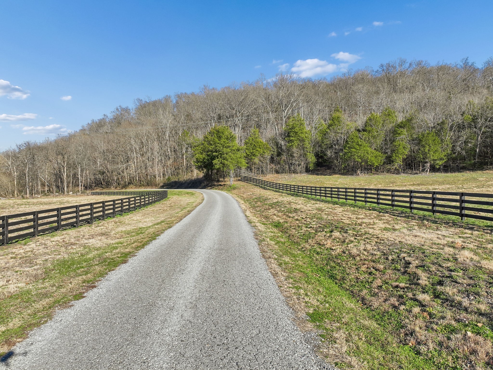 215 Hickman Creek Road South Hickman, TN 38567 - Photo 47 of 98