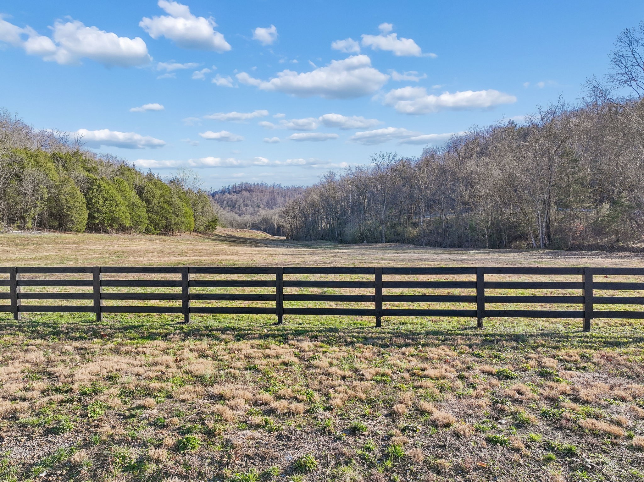 215 Hickman Creek Road South Hickman, TN 38567 - Photo 48 of 98 a view of a bench in a yard