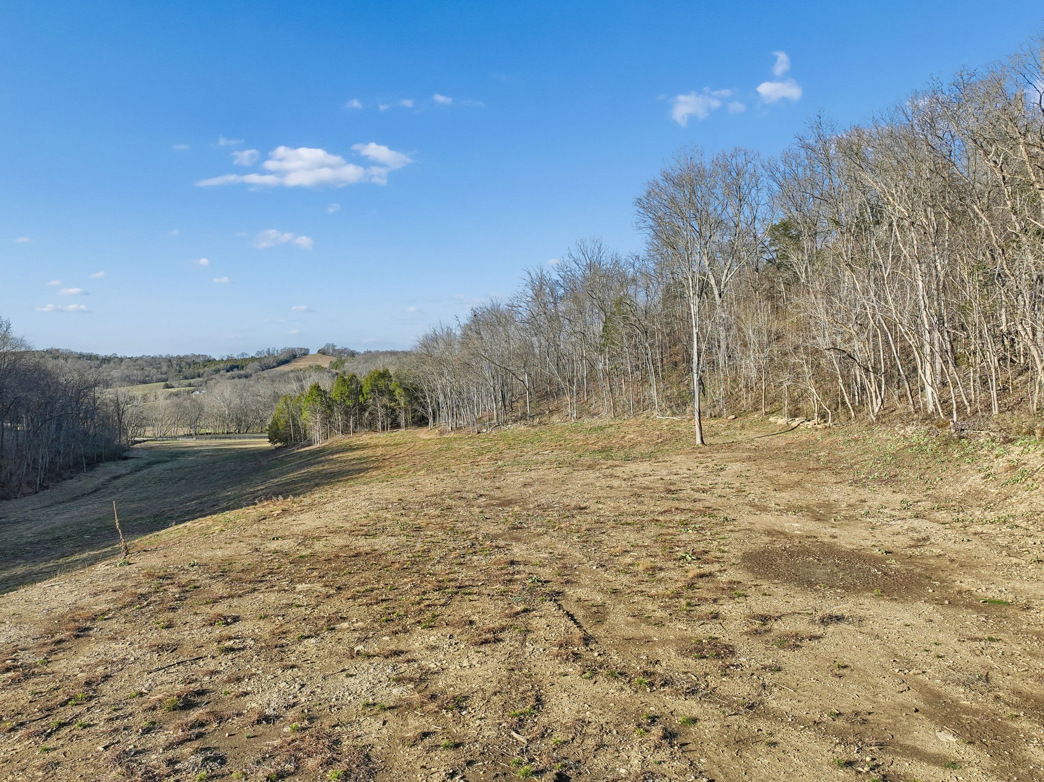 215 Hickman Creek Road South Hickman, TN 38567 - Photo 50 of 98 a view of a yard