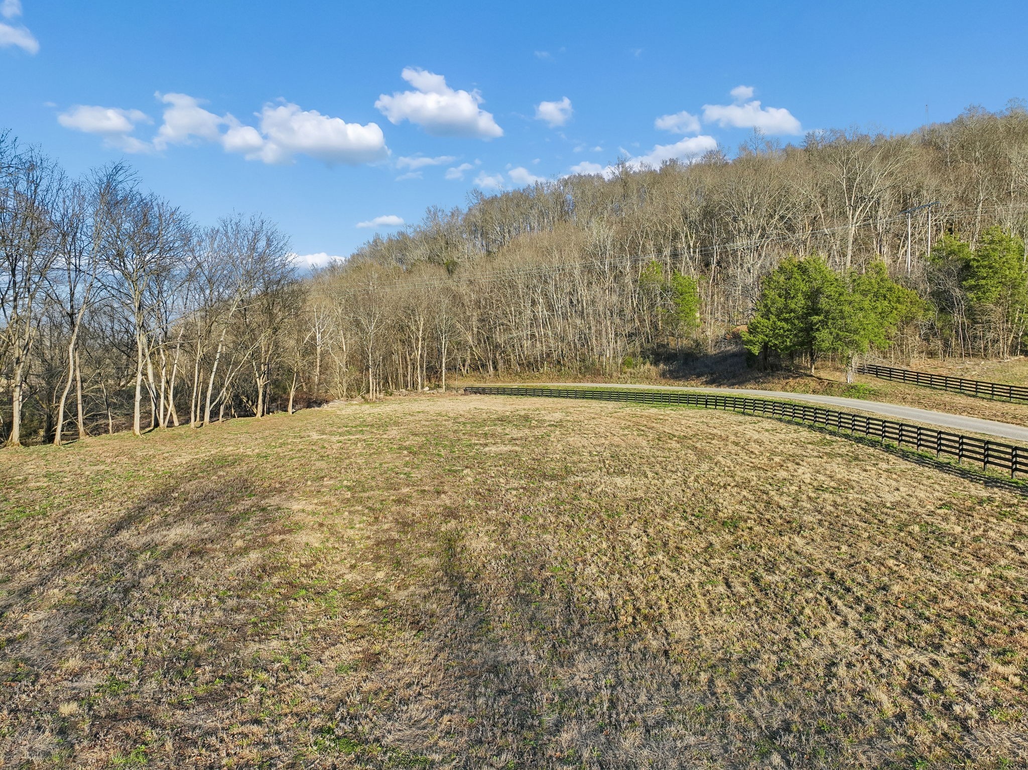 215 Hickman Creek Road South Hickman, TN 38567 - Photo 54 of 98 a view of a yard with mountain and trees