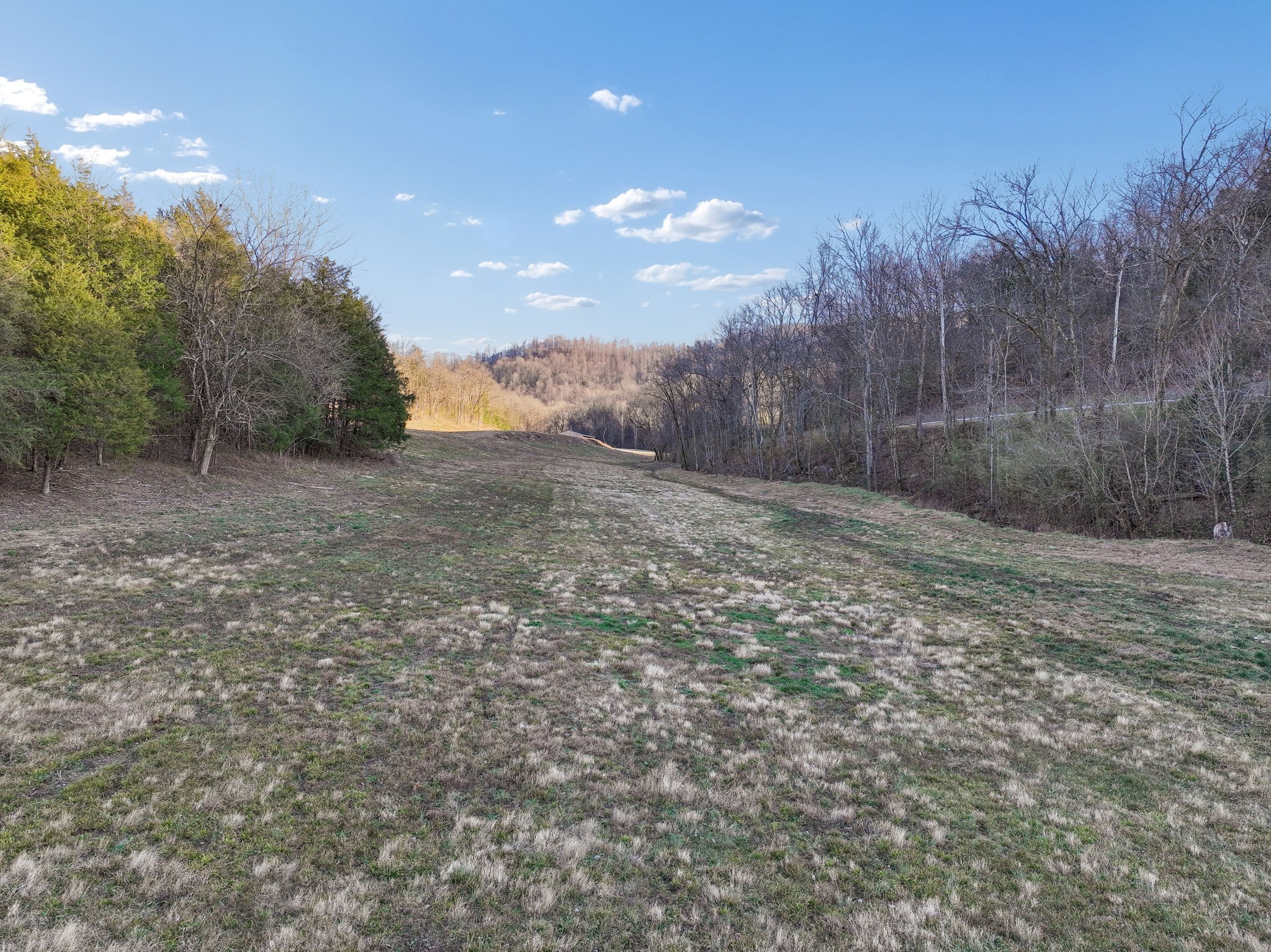 215 Hickman Creek Road South Hickman, TN 38567 - Photo 56 of 98 a view of a field with trees in the background