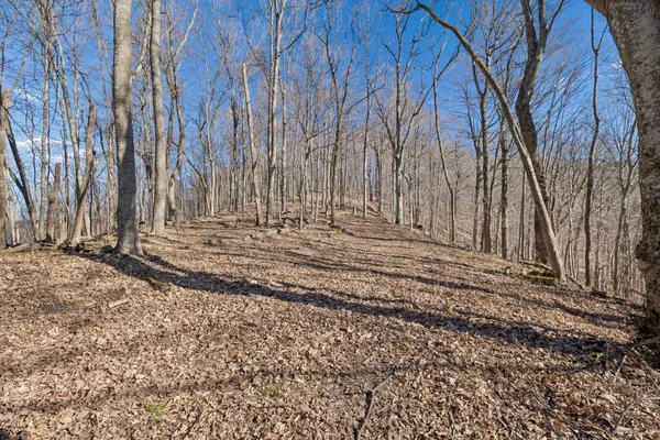 $2,599,000 | 215 Hickman Creek Road South, Hickman, TN 38567