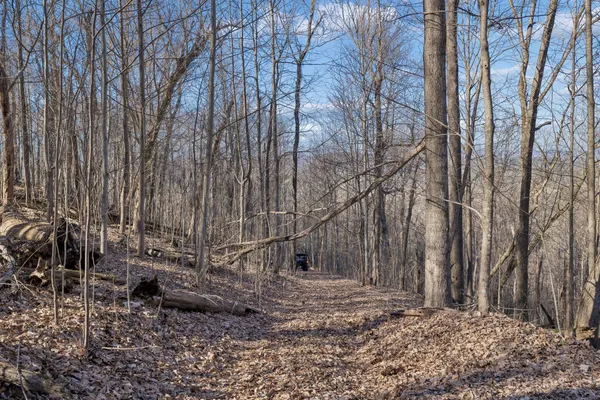 $2,599,000 | 215 Hickman Creek Road South, Hickman, TN 38567