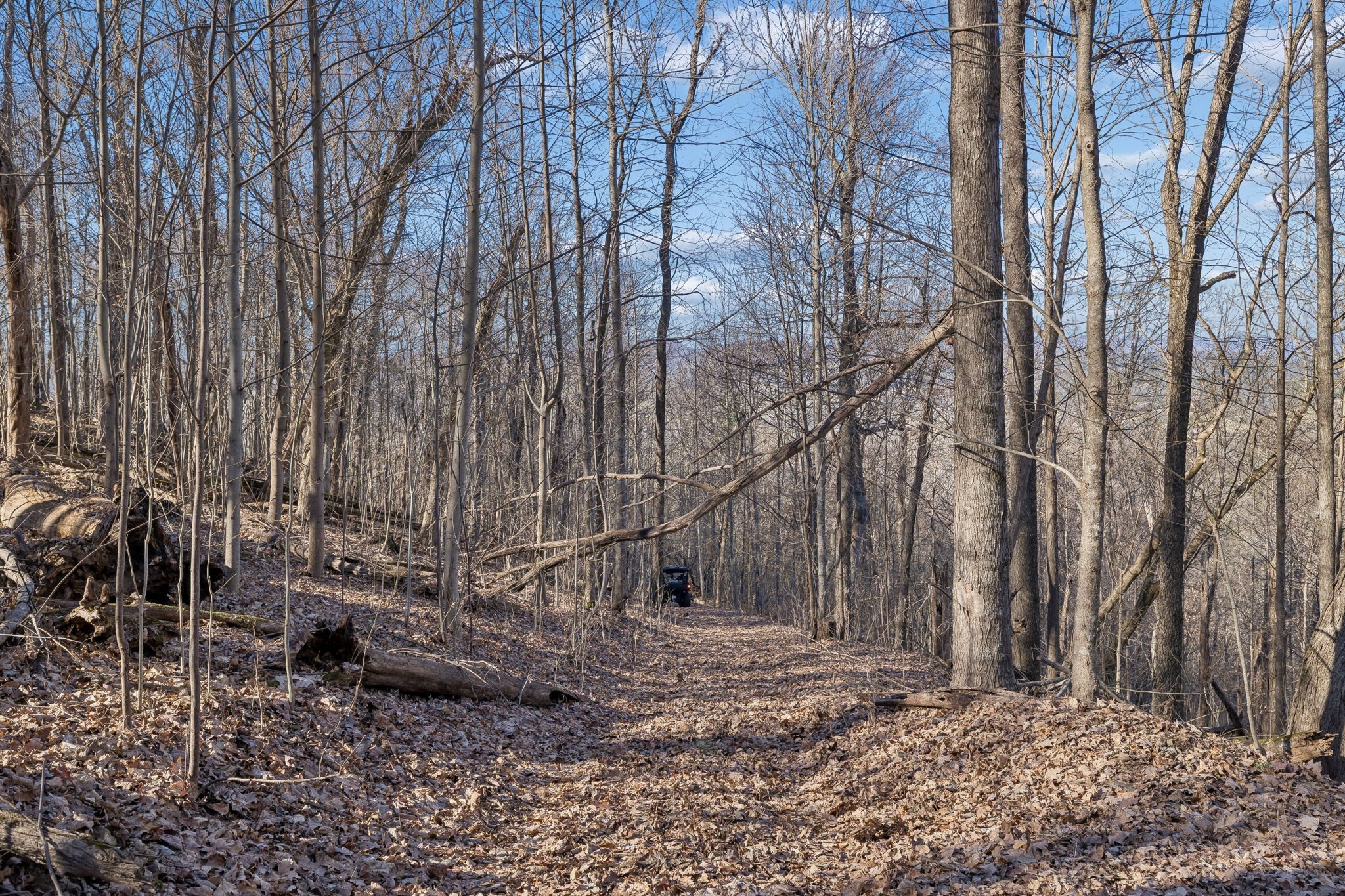 215 Hickman Creek Road South Hickman, TN 38567 - Photo 58 of 98 a backyard of a house with large trees