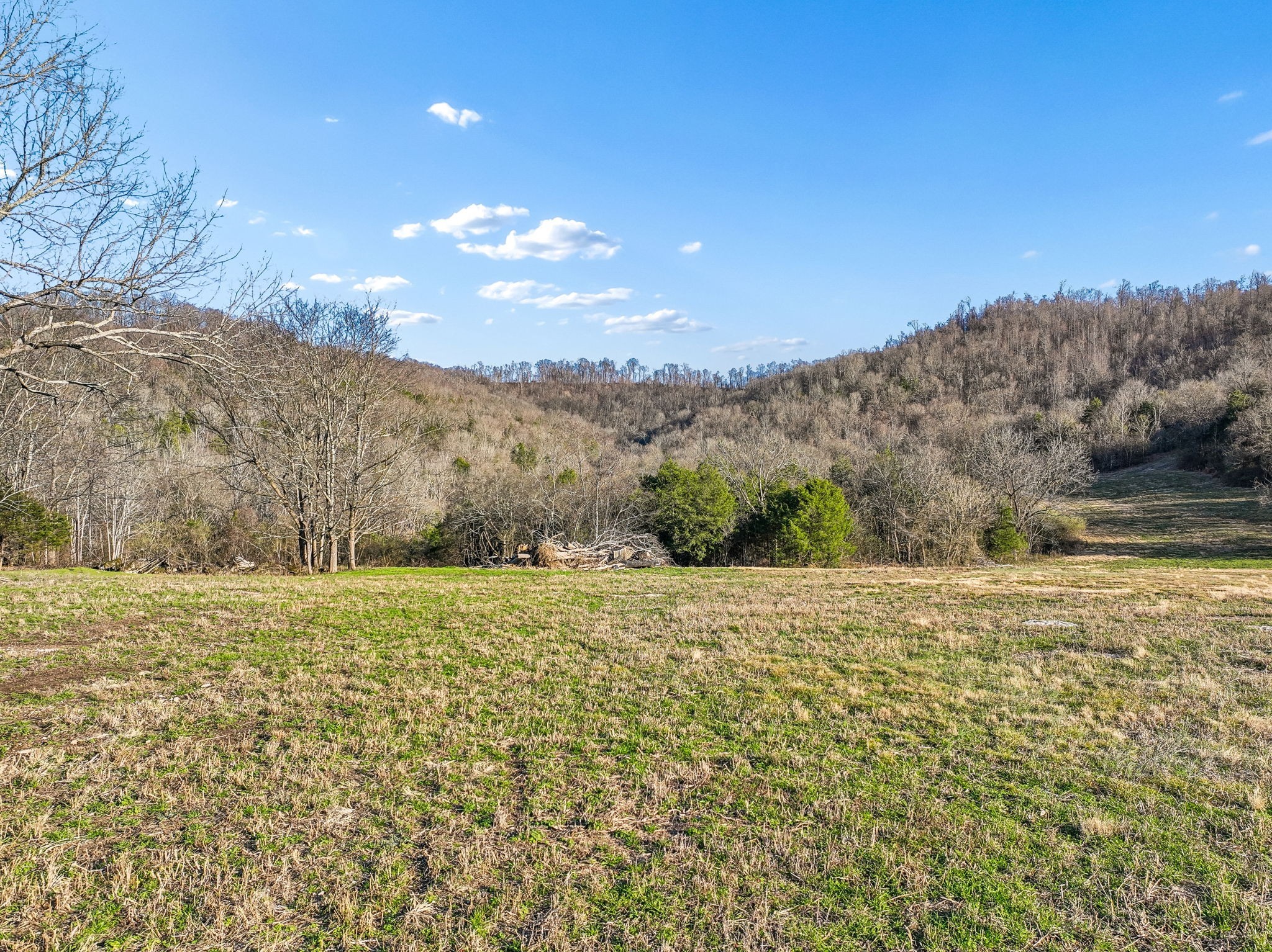 215 Hickman Creek Road South Hickman, TN 38567 - Photo 59 of 98