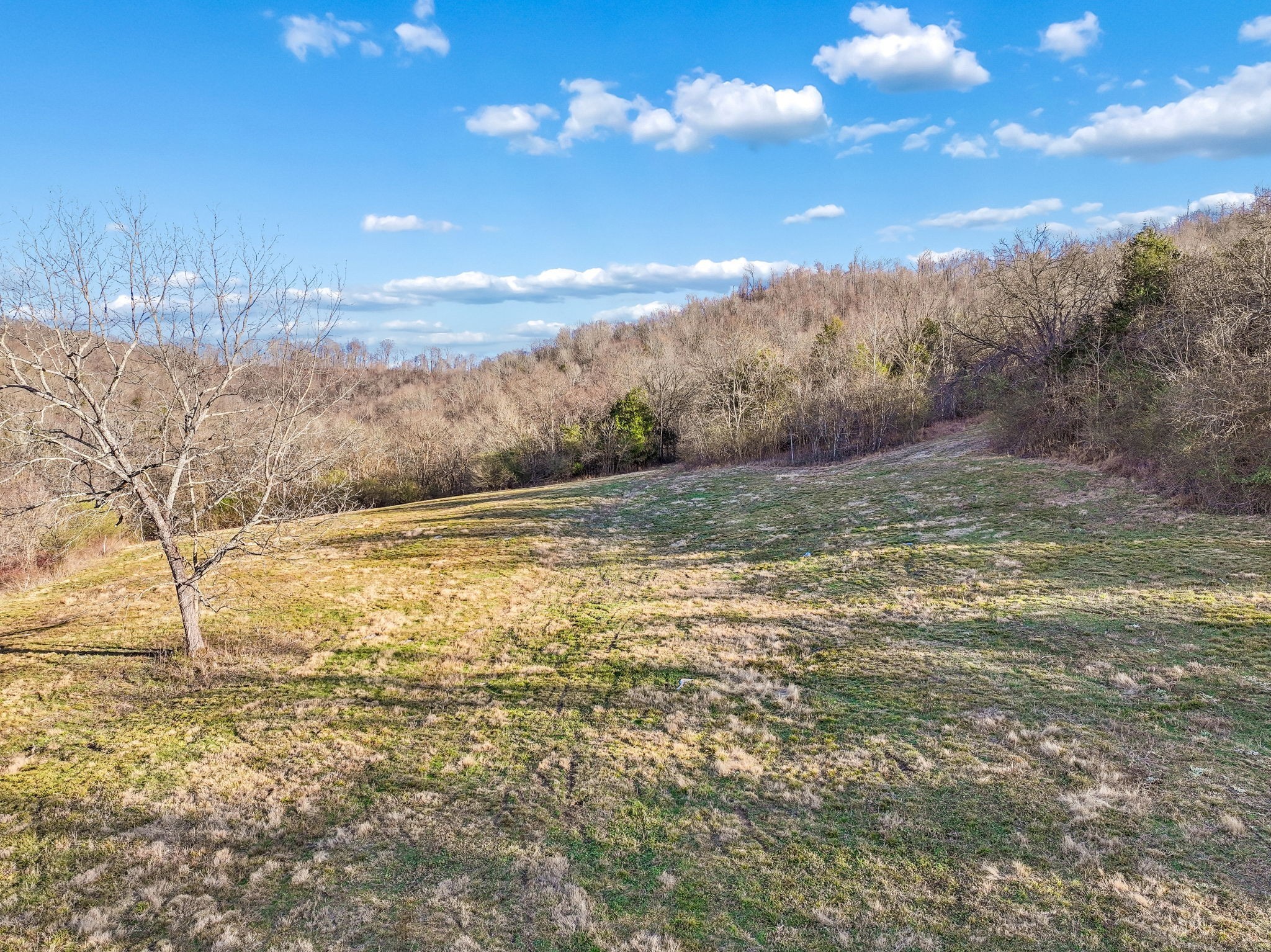 215 Hickman Creek Road South Hickman, TN 38567 - Photo 60 of 98