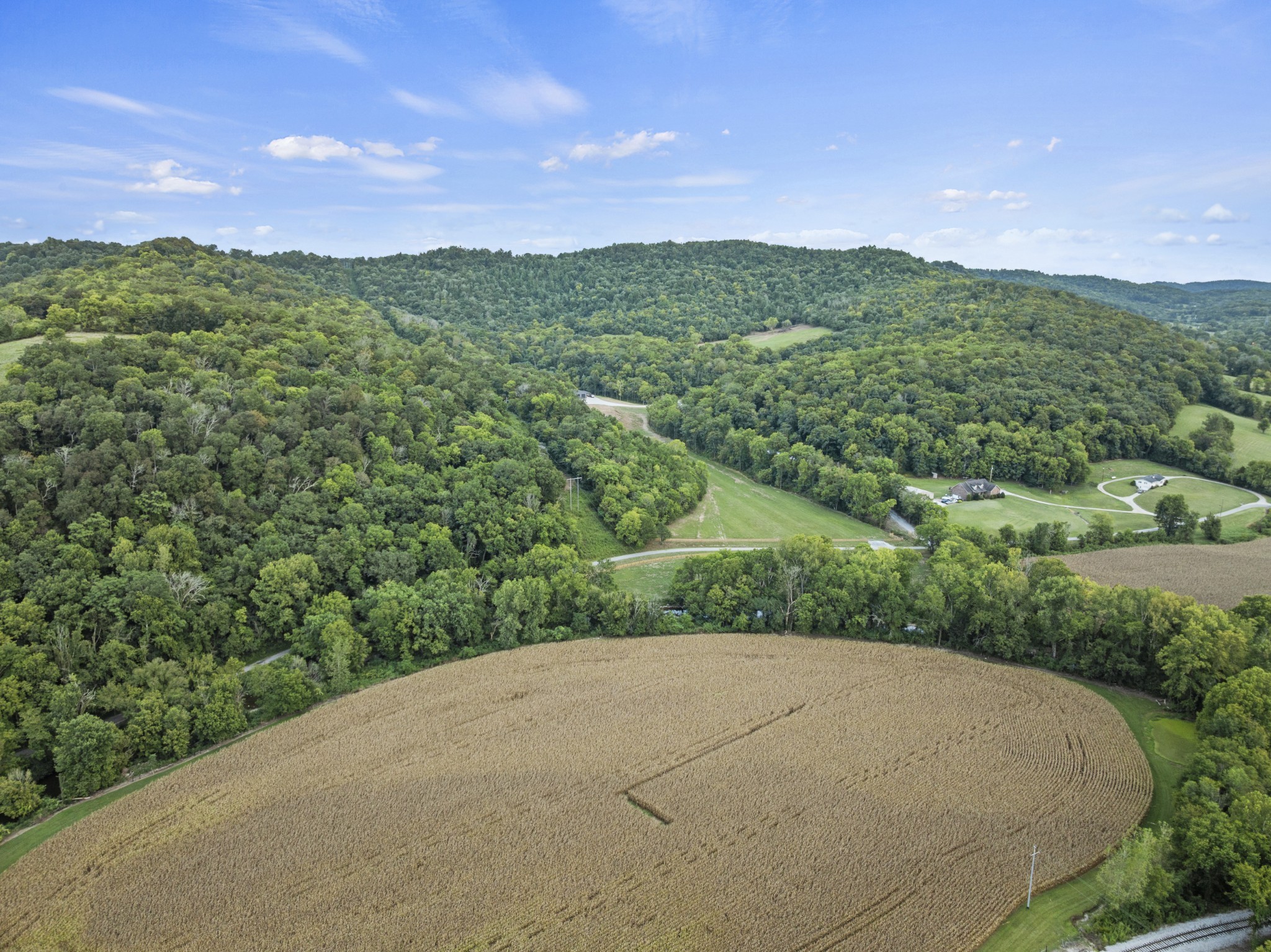 215 Hickman Creek Road South Hickman, TN 38567 - Photo 61 of 98 a view of a green field with mountains in the background