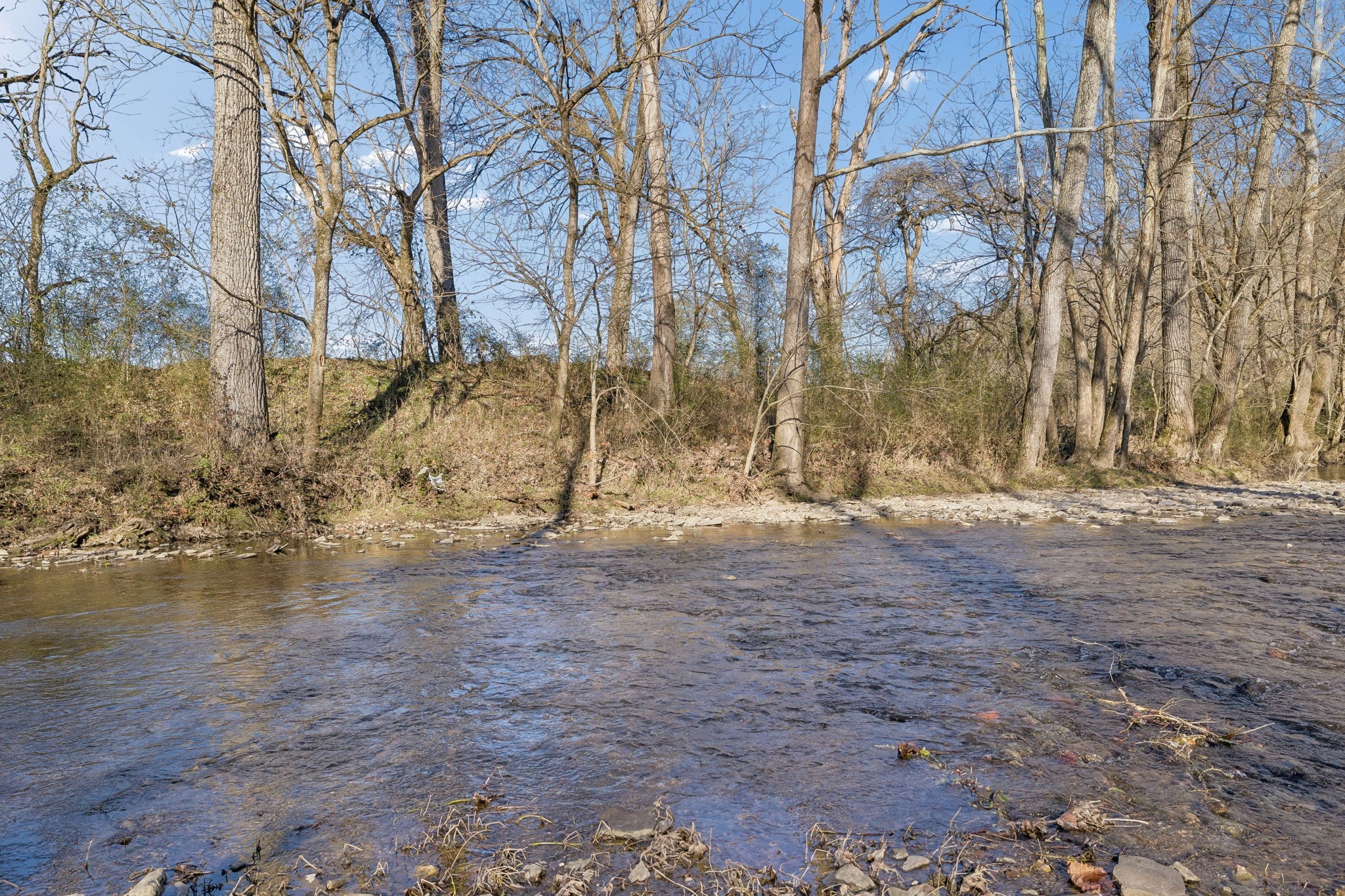 215 Hickman Creek Road South Hickman, TN 38567 - Photo 71 of 98