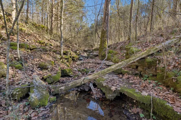 $2,599,000 | 215 Hickman Creek Road South, Hickman, TN 38567