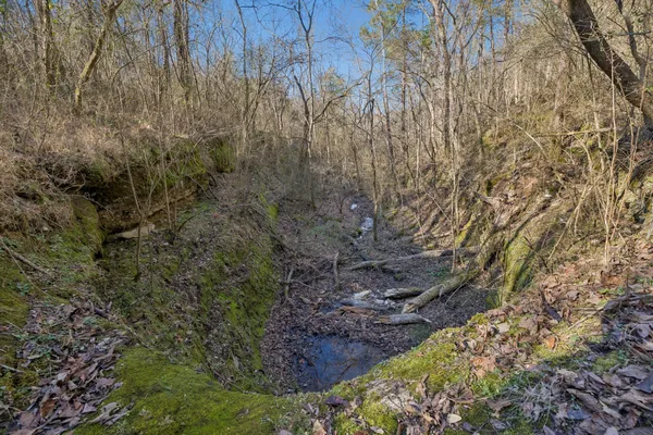 $2,599,000 | 215 Hickman Creek Road South, Hickman, TN 38567