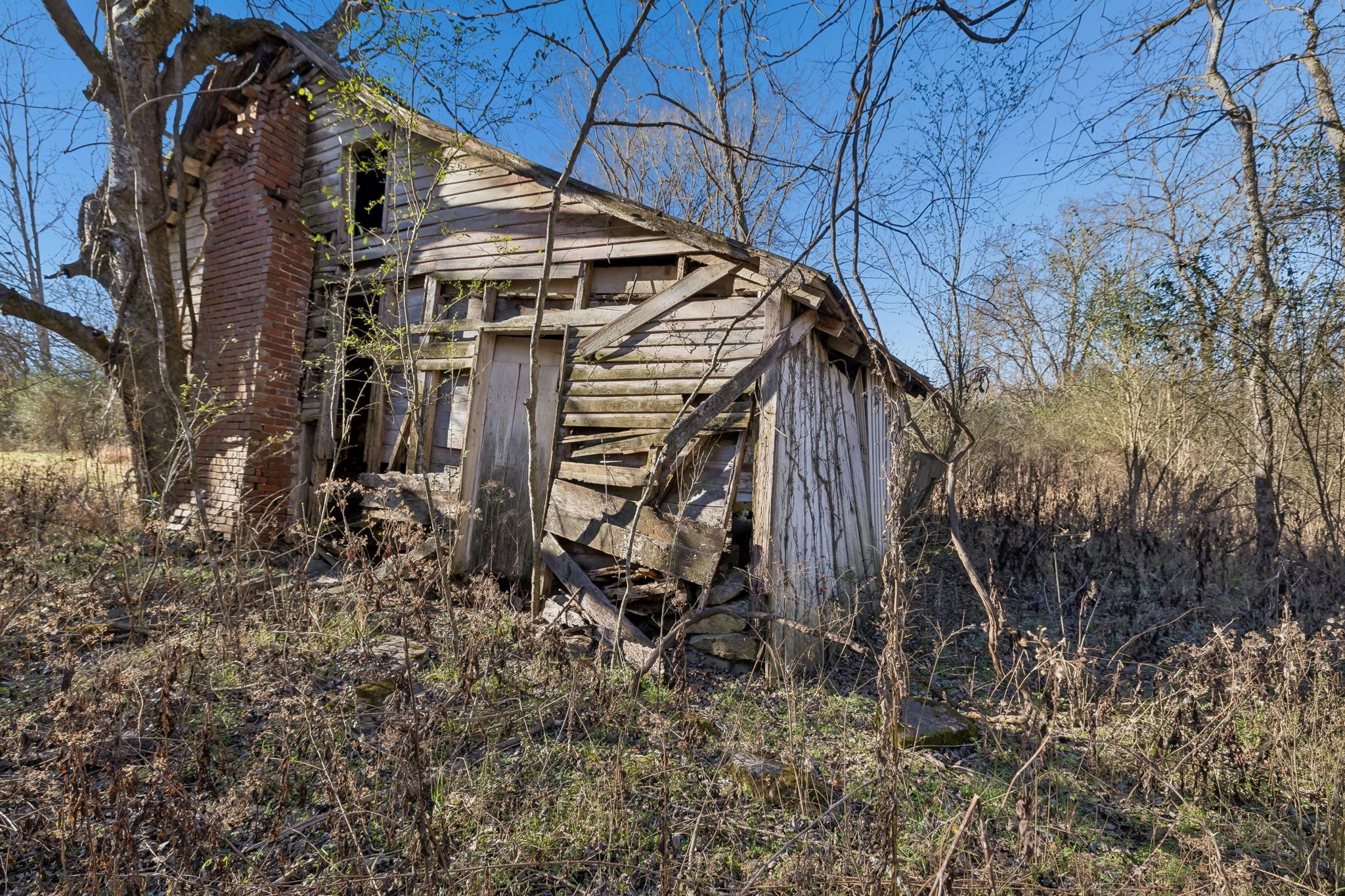 215 Hickman Creek Road South Hickman, TN 38567 - Photo 76 of 98
