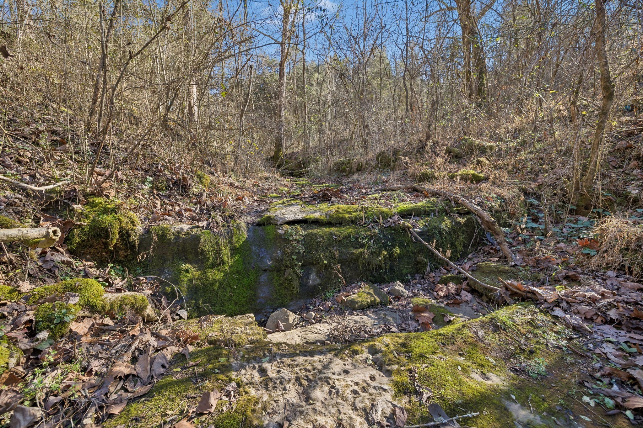 215 Hickman Creek Road South Hickman, TN 38567 - Photo 78 of 98