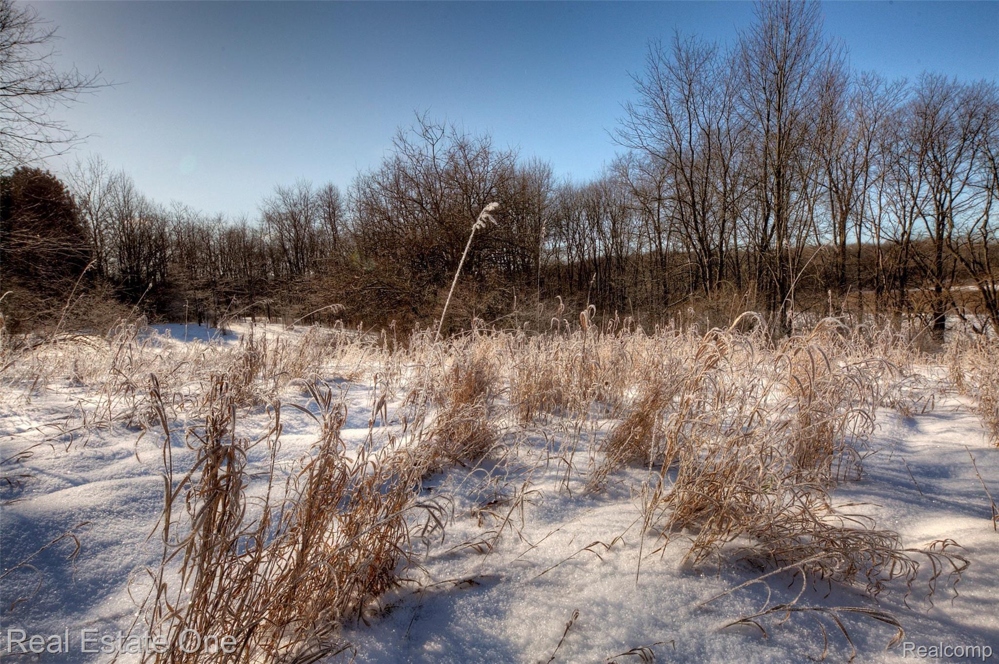 21500 Wasson Road Howell, MI 48843 - Photo 44 of 44 930A7609_10_11.jpg