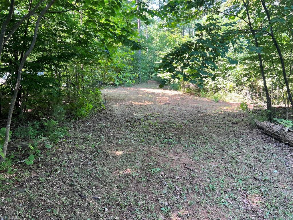 0 Puppy Farm Creek Road Stuart, VA 24171 - Photo 1 of 23 Gallery Image 1