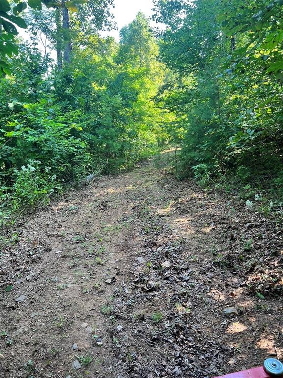 0 Puppy Farm Creek Road Stuart, VA 24171 - Photo 14 of 23 Gallery Image 14