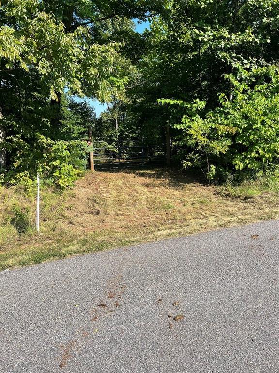 0 Puppy Farm Creek Road Stuart, VA 24171 - Photo 17 of 23 Gallery Image 17