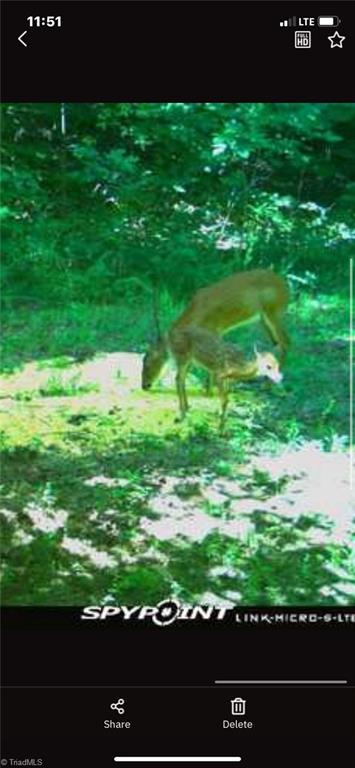 0 Puppy Farm Creek Road Stuart, VA 24171 - Photo 21 of 23 Gallery Image 21