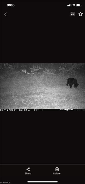 0 Puppy Farm Creek Road Stuart, VA 24171 - Photo 23 of 23 Gallery Image 23