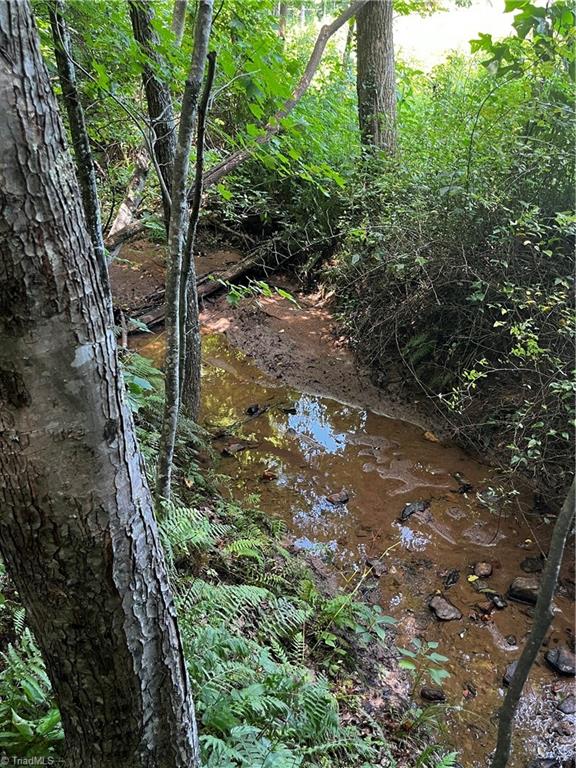 0 Puppy Farm Creek Road Stuart, VA 24171 - Photo 4 of 23 Gallery Image 4
