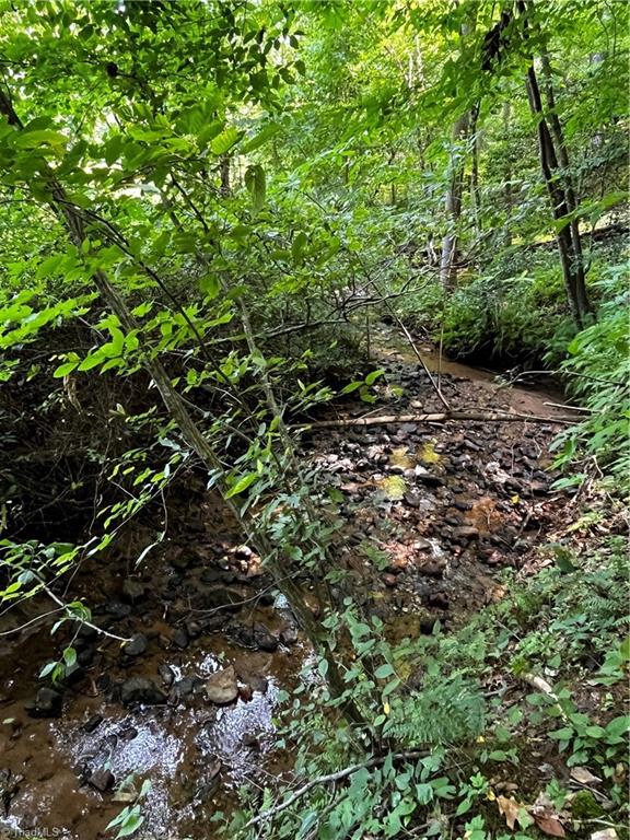 0 Puppy Farm Creek Road Stuart, VA 24171 - Photo 5 of 23 Gallery Image 5