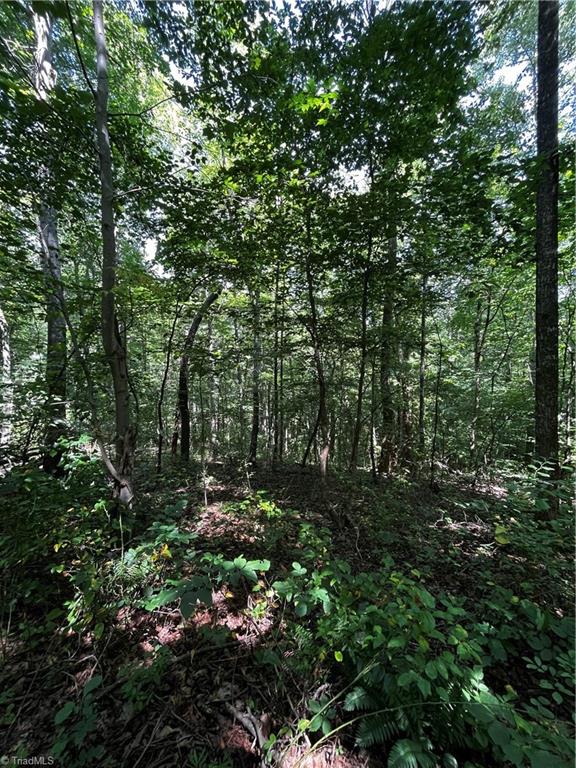 0 Puppy Farm Creek Road Stuart, VA 24171 - Photo 8 of 23 Gallery Image 8
