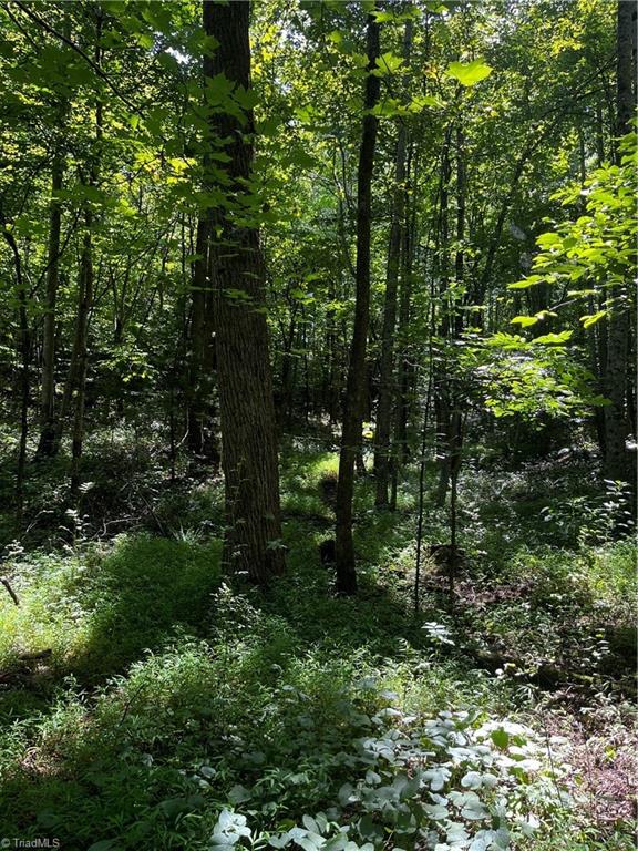 0 Puppy Farm Creek Road Stuart, VA 24171 - Photo 9 of 23 Gallery Image 9