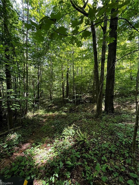 0 Puppy Farm Creek Road Stuart, VA 24171 - Photo 10 of 23 Gallery Image 10