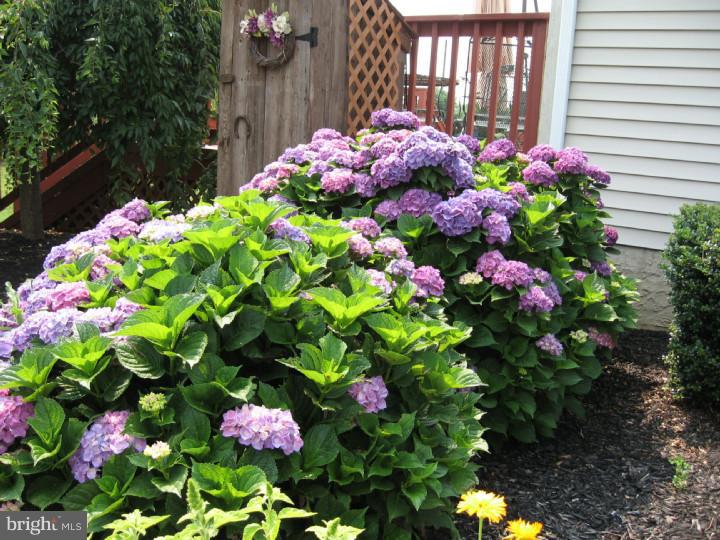 301 Earnest Garton Road Alloway, NJ 08302 - Photo 5 of 25