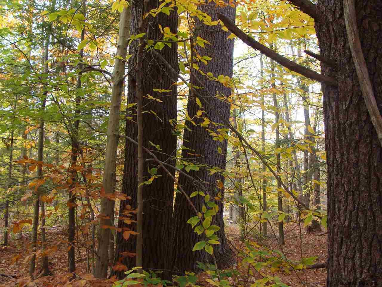 35 Tannery Hill Road Greenfield, NY 12859 - Photo 2 of 7 Photo 2