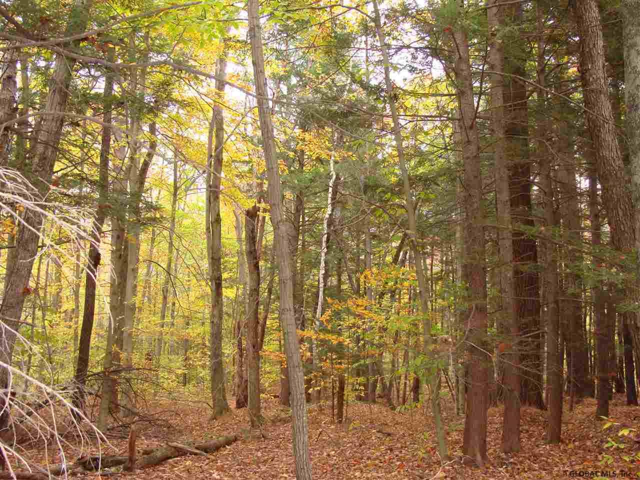 35 Tannery Hill Road Greenfield, NY 12859 - Photo 3 of 7 Photo 3