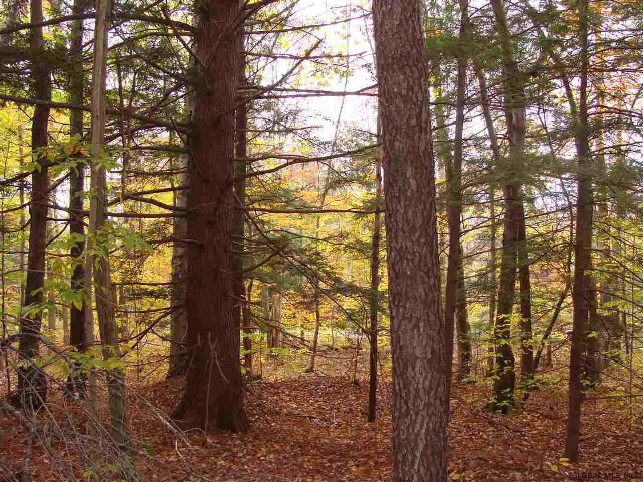 35 Tannery Hill Road Greenfield, NY 12859 - Photo 4 of 7 Photo 4