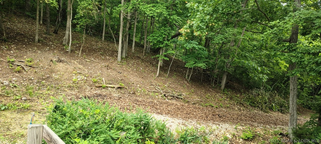 20 Braden Road Stover, MO 65078 - Photo 4 of 18 2nd Tier Lot