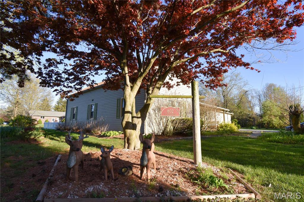 802 East Pleasant Street Bunker Hill, IL 62014 - Photo 26 of 38