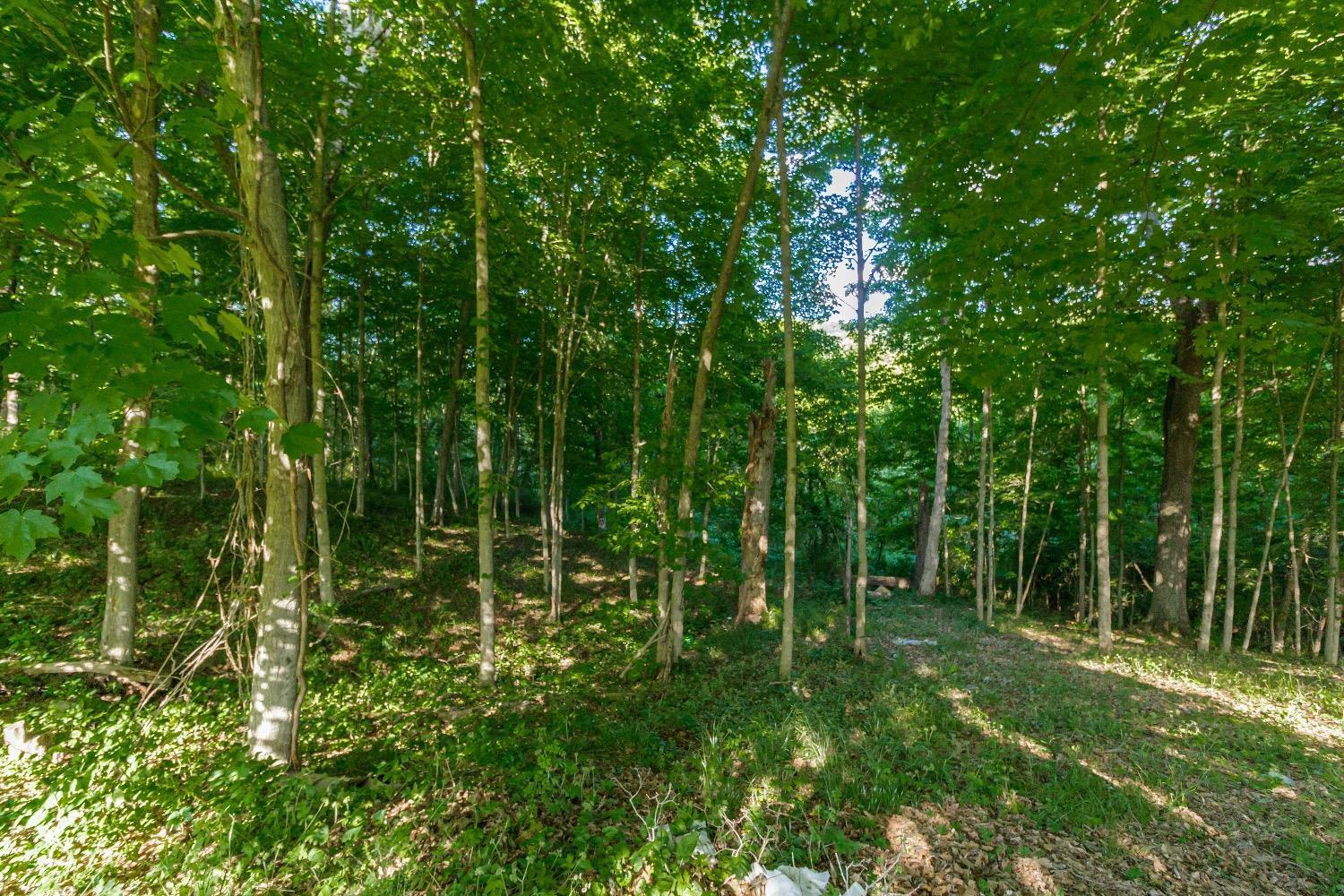 2120 Cockrells Run Road Lucasville, OH 45648 - Photo 19 of 46 Gallery Image 19