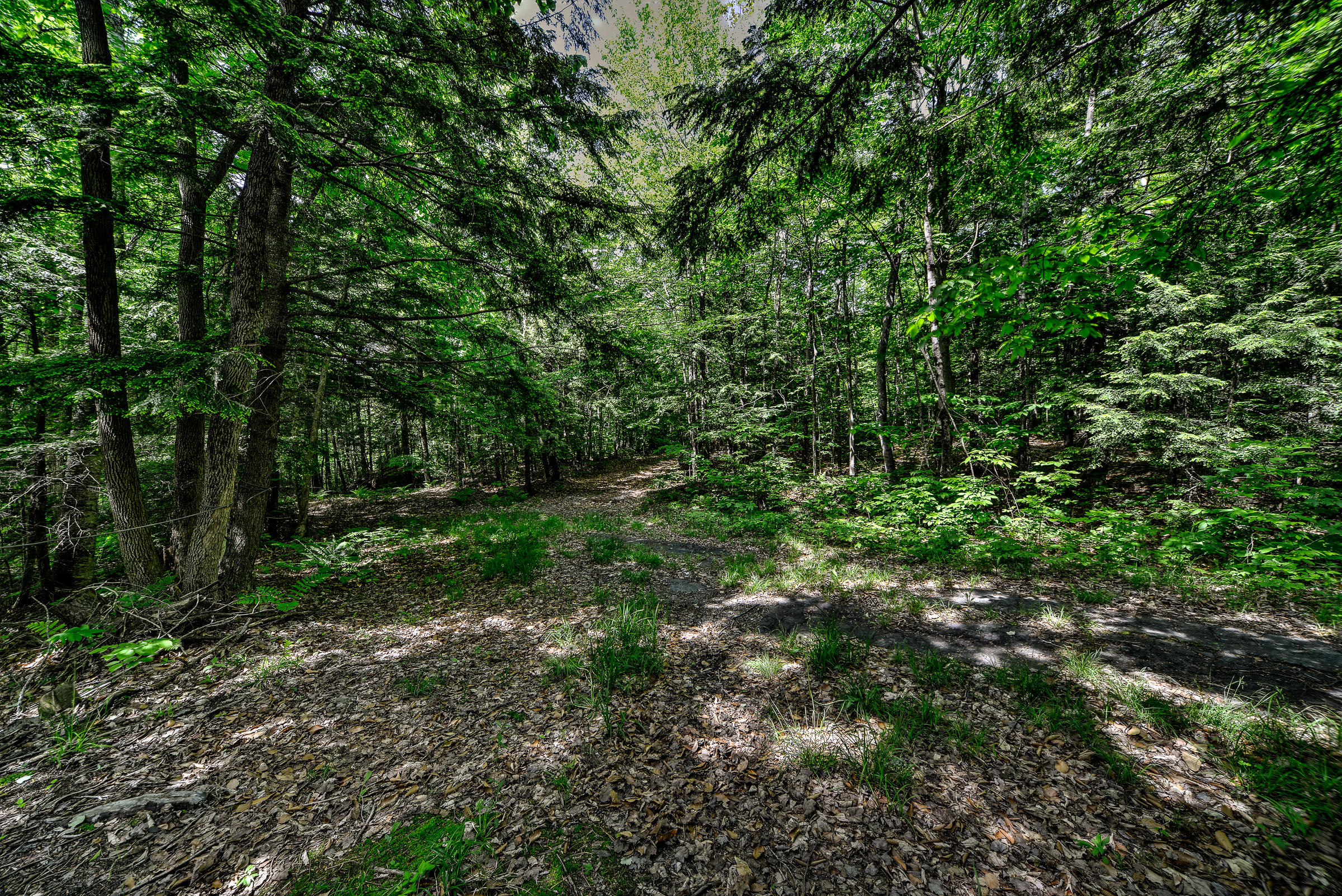 667 Belfast (rte 137) Road Freedom, ME 04941 - Photo 3 of 15 107718-2