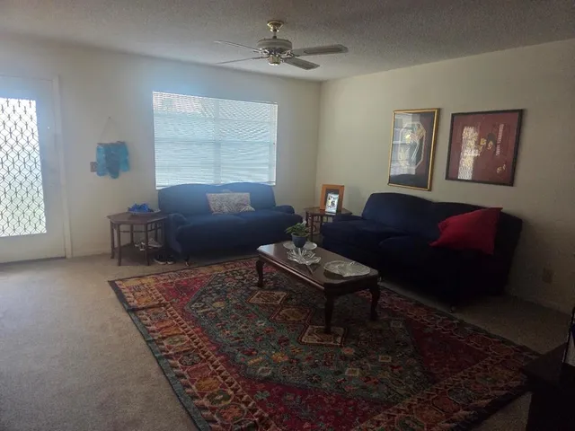 a living room with furniture rug and window