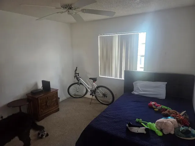 a bedroom with furniture and a window