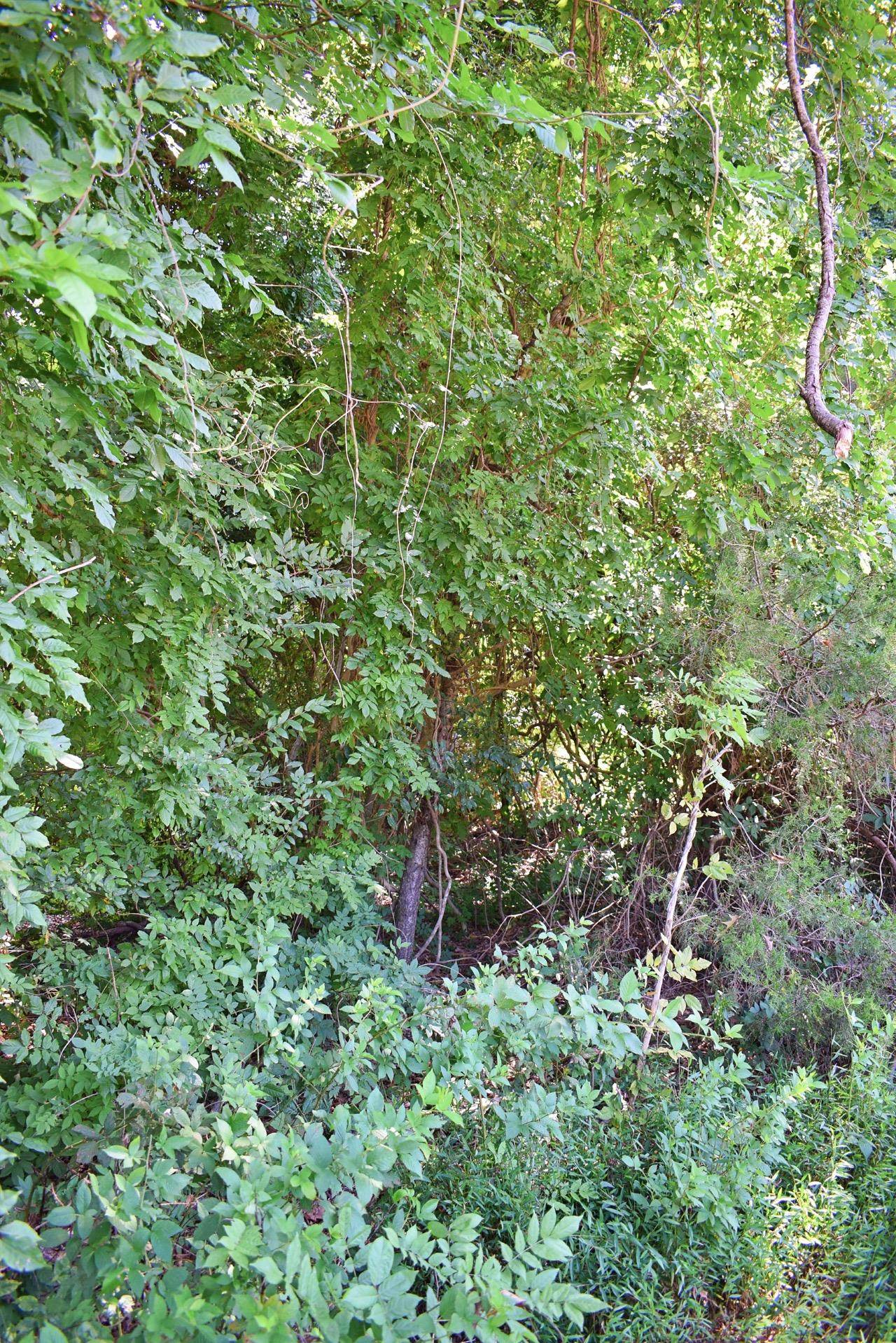 Hammett Grove Road Spartanburg, SC 29307 - Photo 13 of 15 Gallery Image 13